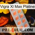 Vigra Xl Max Platinum 26